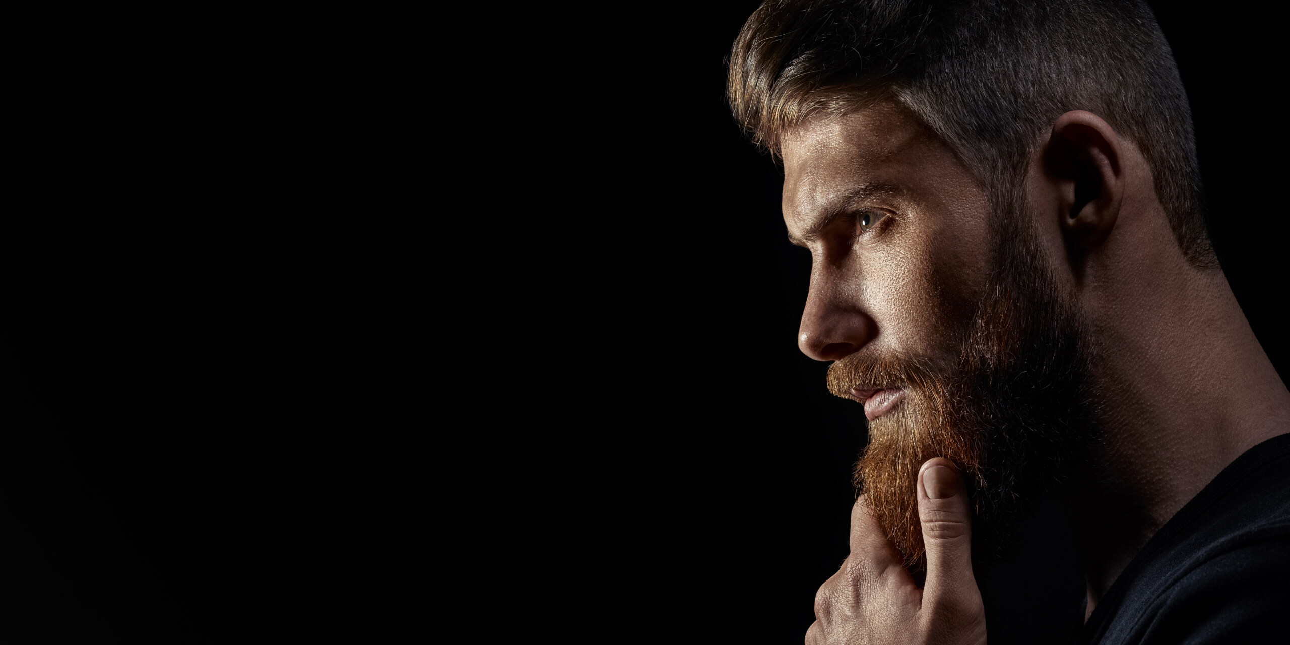 homepage1-1